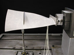 Fatigue Test Blade