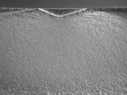 Metallography